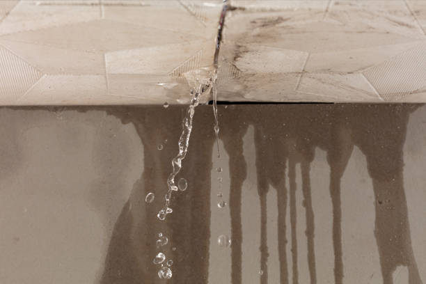 Professional Water Damage Repair technician working in Bloomington, TX